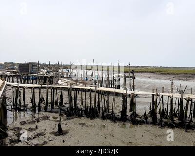 Der palafitische Pier von Carrasqueira im Fluss Sado in Setubal, der von den Fischern von 1950 bis 1960 erbaut wurde, gilt als ein Kunstwerk des populären Bogens Stockfoto