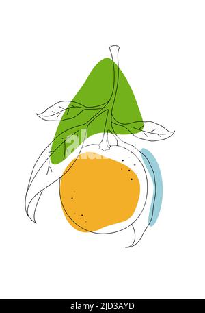 Minimalistische botanische Illustration Stockfoto