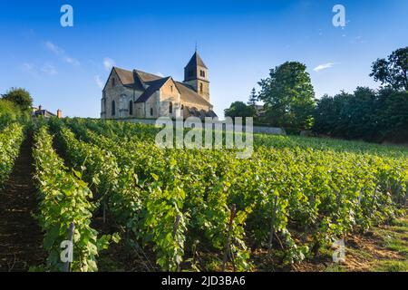 12. C Kirche von Sainte-Agathe und Champagnerweinreben in Villers-Allerand, Marne (51), Frankreich. Stockfoto