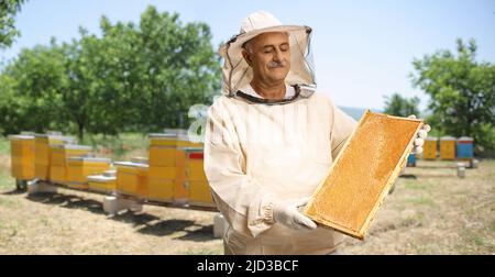 Bienenhalter in Uniform, der in einem Bienenhaus steht und einen Honigbienenrahmen hält Stockfoto