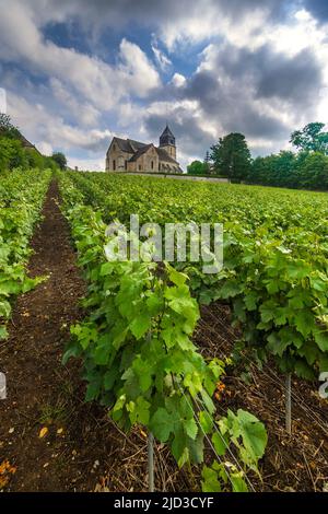 12. C Kirche von Sainte-Agathe und Champagnerweinreben in Villers-Allerand, Marne (51), Frankreich. Stockfoto