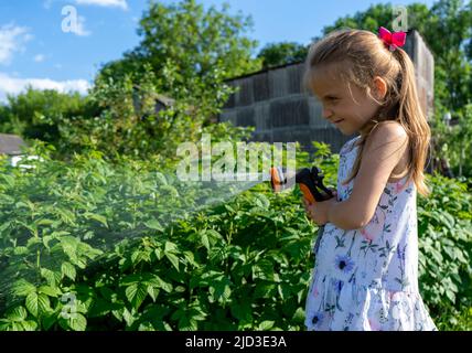 Ein kleines Mädchen benützt einen Wassersprühschlauch, um einen Busch im Garten zu bewässern. Gießen einer Pflanzen Gartenpflege concep. Stockfoto