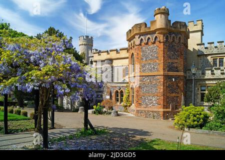 Großbritannien, Kent, Whitstable Castle Stockfoto