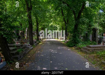 Der Friedhof Vysehrad in prag wurde 1869 gegründet und ist die letzte Ruhestätte vieler Komponisten, Künstler, Bildhauer, Schriftsteller und all jener, die hier wohnen Stockfoto