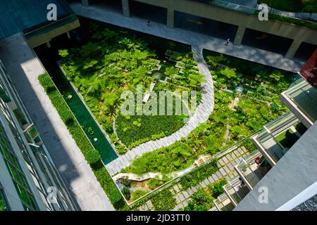 Grüner Garten im Innenhof des Wohngebäudekomplexes. Stockfoto