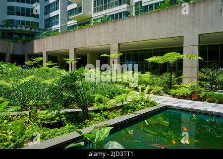 Grüner Garten im Innenhof des Wohngebäudekomplexes. Stockfoto