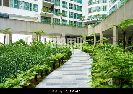 Grüner Garten im Innenhof des Wohngebäudekomplexes. Stockfoto