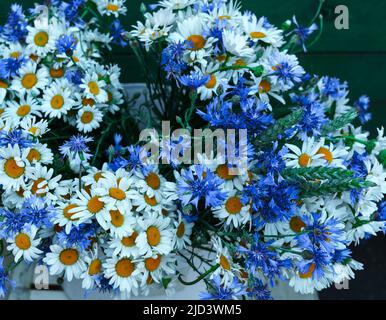 Wunderschöne Blumen aus Kornblumen und weißen Gänseblümchen in einem riesigen Bouquet Stockfoto