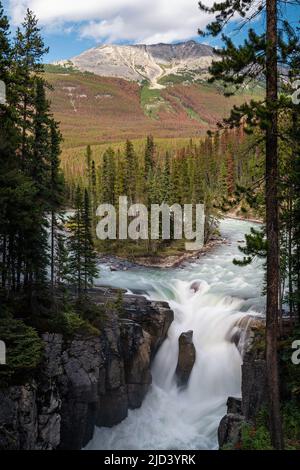 Sunwapta Falls im Sommer, Jasper National Park, Alberta, Kanada. Stockfoto