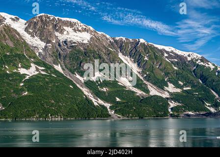 Disenchantment Bay, Alaska, USA - 21. Juli 2011: 3 kurze Gletscher an bewaldeter Bergflanke unter blauem Himmel erreichen mit Flo nicht das grünliche Meerwasser Stockfoto