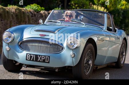 1962 Blue AUSTIN HEALEY 3000 Stockfoto