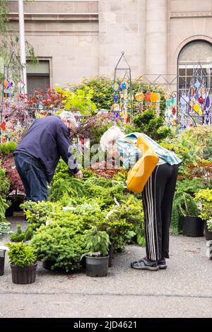 Everett, WA - USA -06-10-2022: Solticulture Garden Art Fair in Downtown man and woman Shop plants Stockfoto