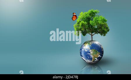 Baum wächst auf der Erde mit grünem Gras und Schmetterling. Weltökologie, Weltumwelttag, Welterdentag und Konzept zur Rettung der Umwelt. Stockfoto