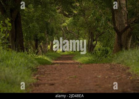 Wunderschöne Landschaftsaufnahmen in Sri Lanka Stockfoto