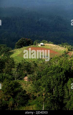 Ein landwirtschaftliches Ackerland auf einem Hügel in Minahasa, Nord-Sulawesi, Indonesien. Stockfoto