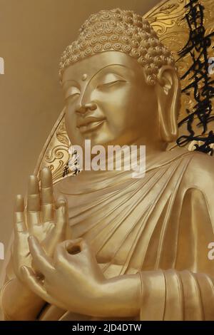 lord buddha Statue der japanischen Friedenspagode in darjeeling, westbengalen in indien Stockfoto