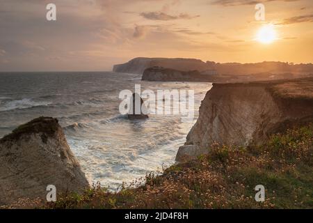 Freshwater Bay - Ein Sommerabend kurz vor Sonnenuntergang an den Klippen der Freshwater Bay auf der Isle of Wight, Großbritannien Stockfoto