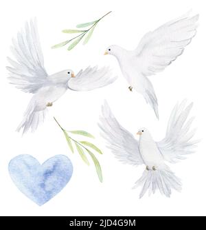 Aquarell weiße Taube und Olivenzweige. Handgezeichnete Aquarellillustration. Dekorative Designelemente. Stockfoto