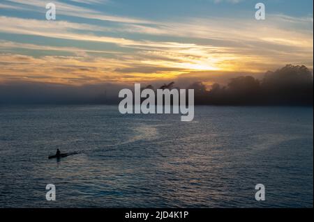 Silhoutte einer Person in einem Kajak, die während des Sonnenuntergangs in der Bucht von Santa Cruz paddelnd. Stockfoto