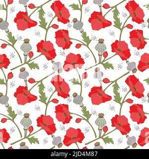 Muster Mohnblüten Samen und Mohnschoten, handgezeichnet im Doodle-Stil, weißer Hintergrund. Vektorgrafik Stock Vektor