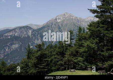 Gran Bosco di Salbertrand in Susa Valley (Turin, Piemont, Italien) Stockfoto