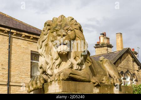 Löwenskulptur an der Wand des Shipley College Salt Building in Saltaire, einem viktorianischen Modelldorf, Shipley, Bradford, West Yorkshire, England. Stockfoto