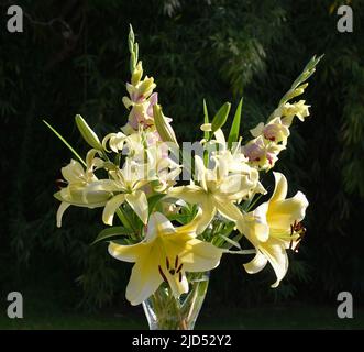 Bouquet de lys jaune citron et glaïeuls (jardin du ruisseau de l'église 2022) Stockfoto