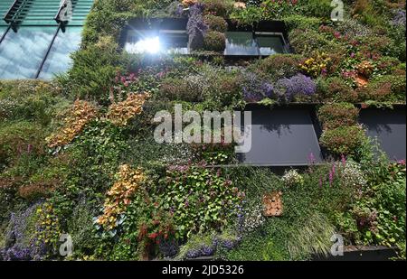 Almere, Niederlande - 17. Juni 2022: Gebäude 'Let the City live' Stockfoto