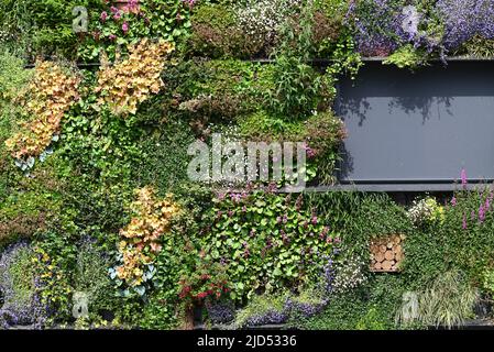 Almere, Niederlande - 17. Juni 2022: Gebäude 'Let the City live' Stockfoto