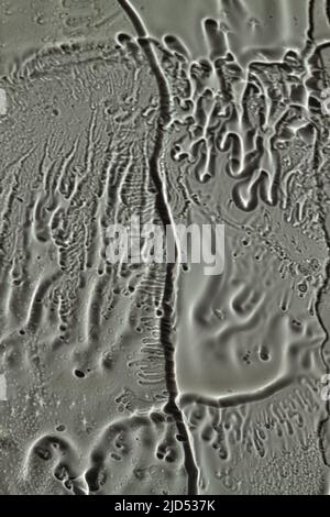 Wasser tropft, Streifen auf dem Glas auf grauem Grund. Stockfoto