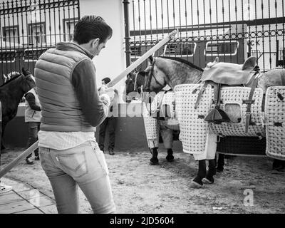 Stierkampf in Cantillana, Spanien Stockfoto