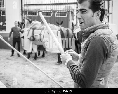 Stierkampf in Cantillana, Spanien Stockfoto