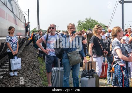 Hertogenbosch, Niederlande. 18 Juni 2022. Passagiere des kaputten ICE (ICE 153) warten zwischen den Gleisen auf den Ersatz des Transports, der sie zurück zum nahegelegenen Bahnhof von 's Hertogenbosch bringen wird. Kredit: Steppeland/Alamy Live Nachrichten. Stockfoto