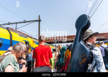 Hertogenbosch, Niederlande. 18 Juni 2022. Passagiere des kaputten ICE-Zuges mit einer Vielzahl von Gepäck versuchen, in den ersetzenden NS-Zug einzusteigen, der sie zurück zum nahegelegenen Bahnhof von 's Hertogenbosch bringt. Kredit: Steppeland/Alamy Live Nachrichten. Stockfoto