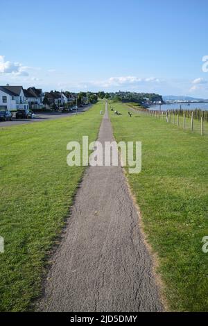 Pfad entlang des Cliff Walk Penarth South Wales Großbritannien Stockfoto