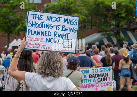 Boston, MA, USA, 11. Juni 2022: Protestkundgebung „March for Our Lives“ im Boston Christopher Columbus Park im North End. Demonstranten mit Anti-Pistole si Stockfoto