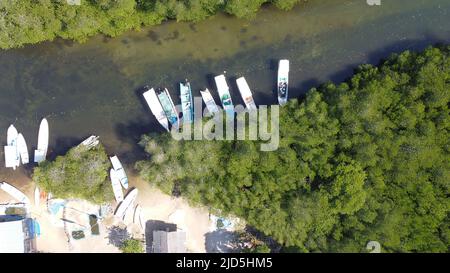Luftaufnahme des Mangrovenwaldes auf Junggut Batu, Nusa Lembongan. Dort gibt es mehrere Fischerhäuser. Weißer Sandstrand mit unberührten Stockfoto