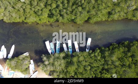 Luftaufnahme des Mangrovenwaldes auf Junggut Batu, Nusa Lembongan. Dort gibt es mehrere Fischerhäuser. Weißer Sandstrand mit unberührten Stockfoto