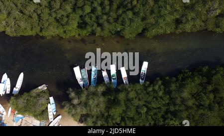 Luftaufnahme des Mangrovenwaldes auf Junggut Batu, Nusa Lembongan. Dort gibt es mehrere Fischerhäuser. Weißer Sandstrand mit unberührten Stockfoto
