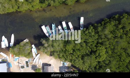 Luftaufnahme des Mangrovenwaldes auf Junggut Batu, Nusa Lembongan. Dort gibt es mehrere Fischerhäuser. Weißer Sandstrand mit unberührten Stockfoto