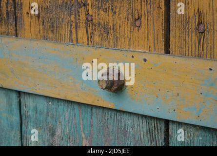 Altes eisernes Torscharnier, mit einer einzigen Schraubenmutter, alte Holzbretter mit kratzender Farbe, Nahaufnahme einer rostigen Metallmutter Stockfoto