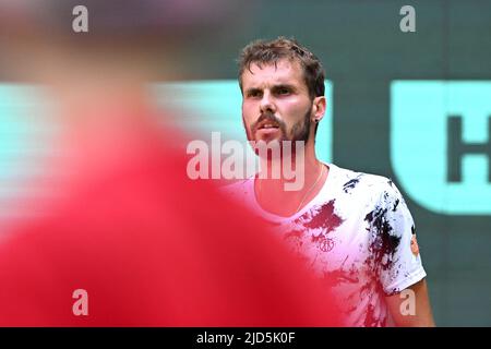 18. Juni 2022, Nordrhein-Westfalen, Halle (westfalen): Tennis: ATP Tour - Halle/Westfalen, Deutschland, Einzel, Männer, Halbfinale Daniil Medvedev - Oscar Otte (Köln): Oscar Otte reagiert während des Spiels. Foto: David Inderlied/dpa Stockfoto