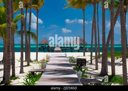 Hölzerner Steg am wunderschönen Strand, umgeben von Palmen auf Cayo Guillermo, Kuba Stockfoto