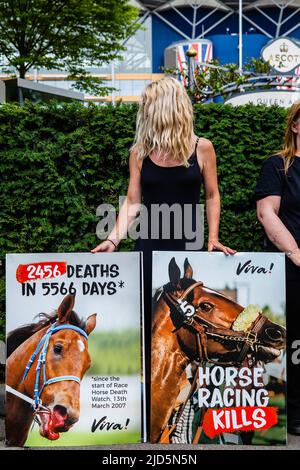 Ascot, Großbritannien. 18.. Juni 2022. Eine Tierrechtlerin der veganen Wohltätigkeitsorganisation Viva! Nimmt an einer Protestmahnwache vor Royal Ascot Teil. Viva! Setzt sich dafür ein, die Zahl der Todesfälle von Pferden durch Pferderennen zu erhöhen. Laut Animal Aid gab es seit dem 13.. März 2007 2.457 Todesfälle bei Pferderennen, davon 42 in Ascot, einschließlich Star Safari nach Fesselunfällen am 1. Tag von Royal Ascot 2022. Kredit: Mark Kerrison/Alamy Live Nachrichten Stockfoto