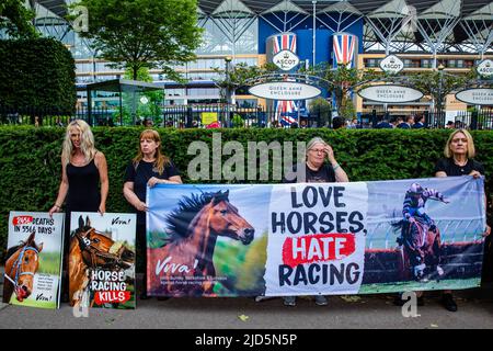 Ascot, Großbritannien. 18.. Juni 2022. Tierrechtler der veganen Wohltätigkeitsorganisation Viva! Nehmen Sie an einer Protestmahnwache vor Royal Ascot Teil. Viva! Setzt sich dafür ein, die Zahl der Todesfälle von Pferden durch Pferderennen zu erhöhen. Laut Animal Aid gab es seit dem 13.. März 2007 2.457 Todesfälle bei Pferderennen, davon 42 in Ascot, einschließlich Star Safari nach Fesselunfällen am 1. Tag von Royal Ascot 2022. Kredit: Mark Kerrison/Alamy Live Nachrichten Stockfoto