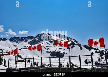 WHISTLER, BC, KANADA, 30. MAI 2019: Die kanadischen Flaggen auf dem Gipfel des Blackcomb-Berges in Whistler Village. Whistler ist ein kanadischer Urlaubsort Stockfoto