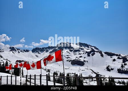 WHISTLER, BC, KANADA, 30. MAI 2019: Die kanadischen Flaggen auf dem Gipfel des Blackcomb-Berges in Whistler Village. Whistler ist ein kanadischer Urlaubsort Stockfoto