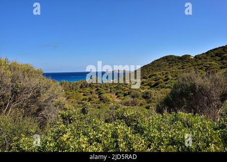 Typische Landschaft mit immergrüner Macchia und reiner lazur Küste am Spanischen Turm und dem Strand Mare Pintau in Sardinien, Italien. Stockfoto