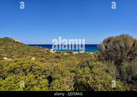 Typische Landschaft mit immergrüner Macchia und reiner lazur Küste am Spanischen Turm und dem Strand Mare Pintau in Sardinien, Italien. Stockfoto