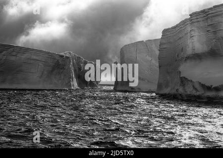 Riesige, tafel-förmige Eisberge im Antarctic Sound in der Nähe von Brown Bluff, Antarktische Halbinsel Stockfoto